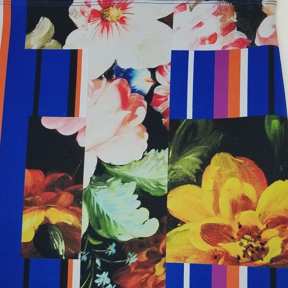 Clover Canyon Blue Vertical Stripe Floral Skirt XS - Picture 3 of 5